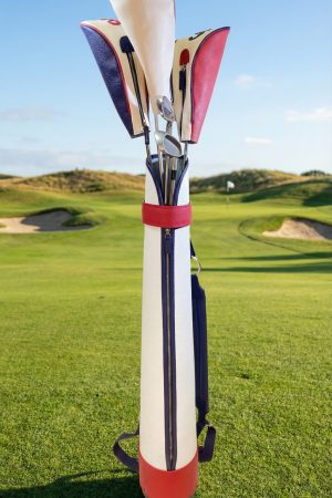 5Clubs Golf Bag + Set 3 Drive Headcovers